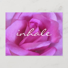 Paarse Roze Roze Bloem Vet Foto Inhaleren Script Briefkaart