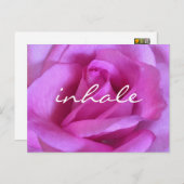 Paarse Roze Roze Bloem Vet Foto Inhaleren Script Briefkaart (Voorkant / Achterkant)