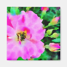 Paarse roze Waterverf van zomerse Rozen Magneet