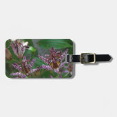 Paarse roze, witte, gestreept orchidee als bloem bagagelabel (Voorkant horizontaal)