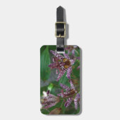 Paarse roze, witte, gestreept orchidee als bloem bagagelabel (Voorkant verticaal)