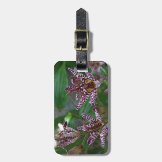 Paarse roze, witte, gestreept orchidee als bloem bagagelabel (Voorkant verticaal)