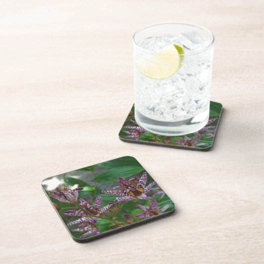 Paarse roze, witte, gestreept orchidee als bloem bier onderzetter (Rechterzijde)