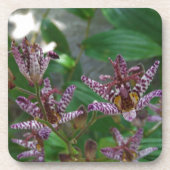 Paarse roze, witte, gestreept orchidee als bloem bier onderzetter (Voorkant)