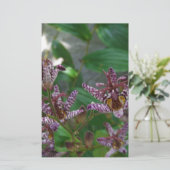 Paarse roze, witte, gestreept orchidee als bloem briefpapier (Staand voorkant)