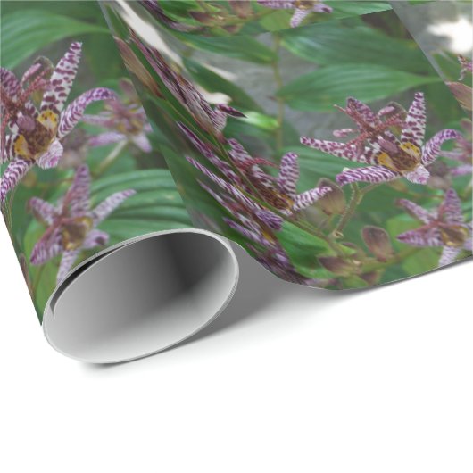 Paarse roze, witte, gestreept orchidee als bloem cadeaupapier (Rol Hoek)