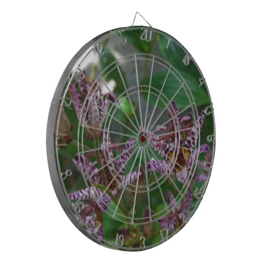 Paarse roze, witte, gestreept orchidee als bloem dartbord (Voorkant Links)