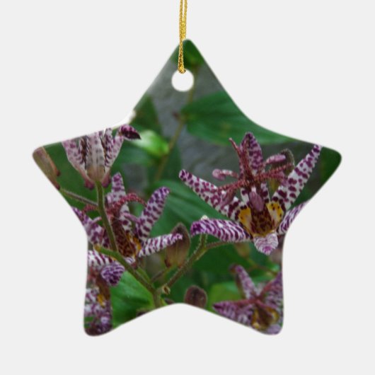 Paarse roze, witte, gestreept orchidee als bloem keramisch ornament (Voorkant)