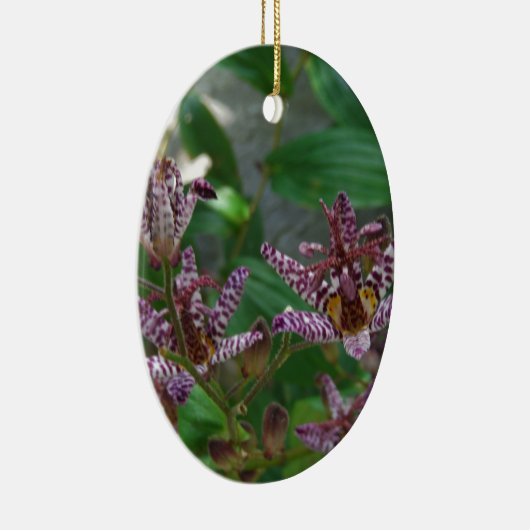 Paarse roze, witte, gestreept orchidee als bloem keramisch ornament (Rechts)