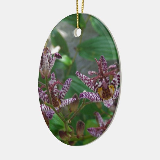 Paarse roze, witte, gestreept orchidee als bloem keramisch ornament (Links)