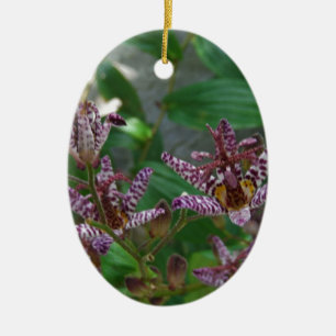 Paarse roze, witte, gestreept orchidee als bloem keramisch ornament