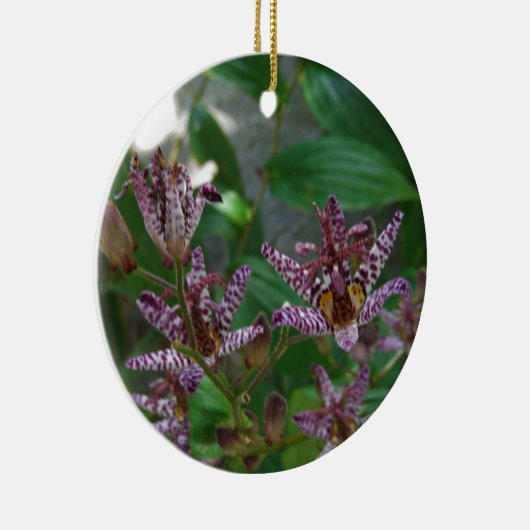 Paarse roze, witte, gestreept orchidee als bloem keramisch ornament (Rechts)