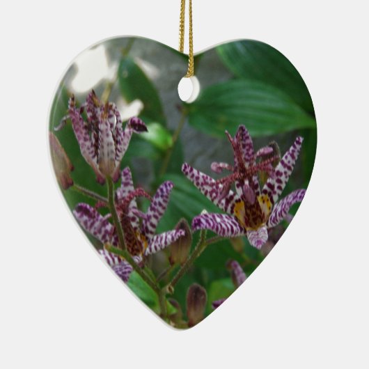 Paarse roze, witte, gestreept orchidee als bloem keramisch ornament (Rechts)