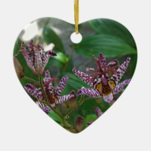 Paarse roze, witte, gestreept orchidee als bloem keramisch ornament