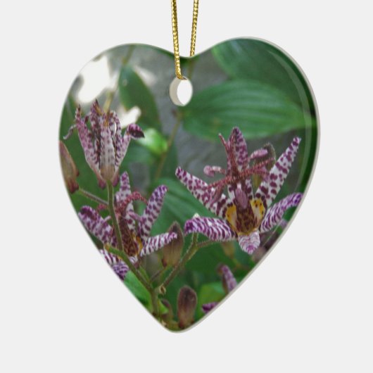 Paarse roze, witte, gestreept orchidee als bloem keramisch ornament (Links)