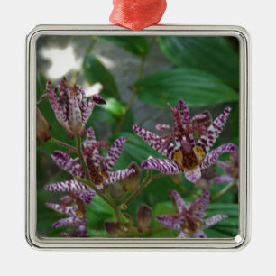 Paarse roze, witte, gestreept orchidee als bloem metalen ornament