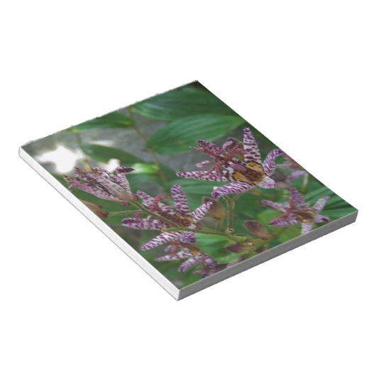 Paarse roze, witte, gestreept orchidee als bloem notitieblok (Schuin)