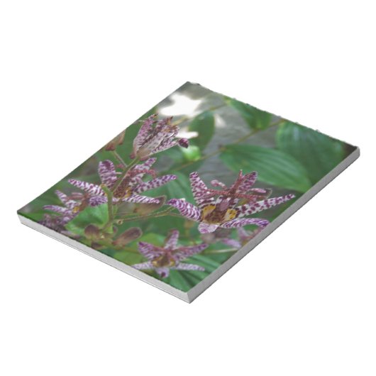 Paarse roze, witte, gestreept orchidee als bloem notitieblok (Linkerzijde)