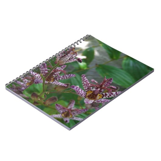 Paarse roze, witte, gestreept orchidee als bloem notitieboek (Linkerzijde)