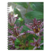 Paarse roze, witte, gestreept orchidee als bloem notitieboek (Voorkant)