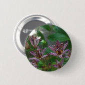 Paarse roze, witte, gestreept orchidee als bloem ronde button 5,7 cm (Voorkant /achterkant)