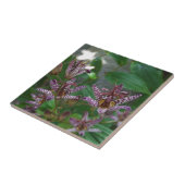 Paarse roze, witte, gestreept orchidee als bloem tegeltje (Zijkant)