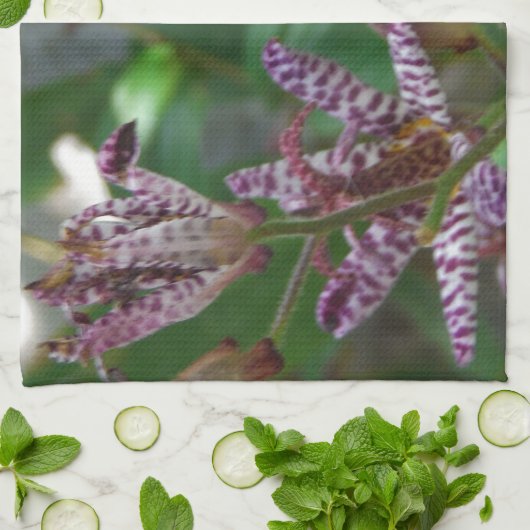 Paarse roze, witte, gestreept orchidee als bloem theedoek (Gevouwen)