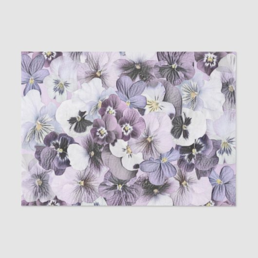 Paarse roze witte pansieën  tekening tissuepapier (Voorkant)