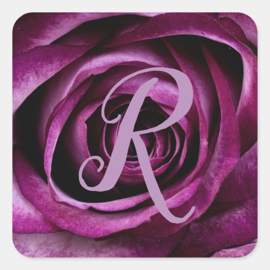 Paarse Rozen bloemblaadjes bloemenmonogram Initiaa Vierkante Sticker (Voorkant)
