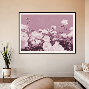 Paarse Rozen Bloementuin Foto Kunstprint Poster