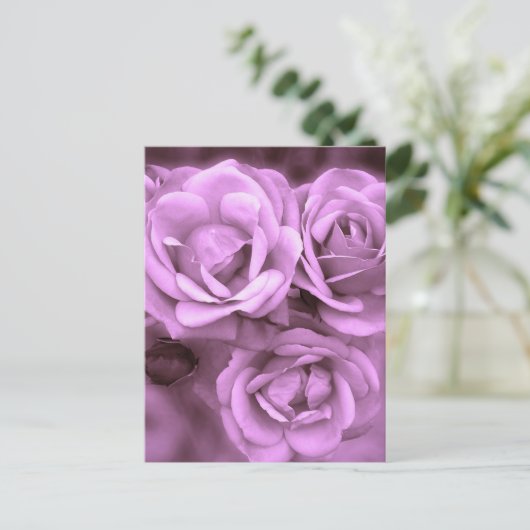 Paarse  Rozen Briefkaart (Staand voorkant)