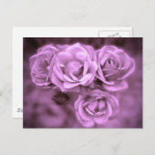 Paarse  Rozen Briefkaart (Voorkant / Achterkant)