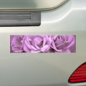Paarse Rozen Bumpersticker (Op auto)