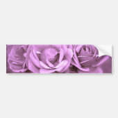 Paarse  Rozen Bumpersticker (Voorkant)