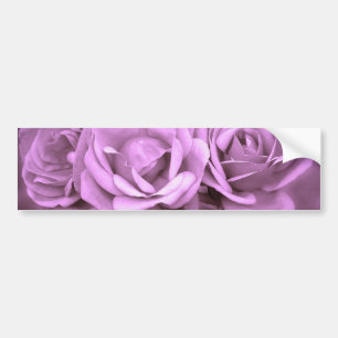 Paarse Rozen Bumpersticker