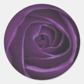 Paarse Rozen Design Sticker (Voorkant)