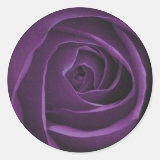 Paarse Rozen Design Sticker (Voorkant)