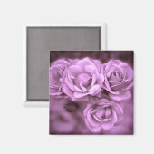 Paarse Rozen Magneet (Voorkant / Achterkant)