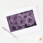 Paarse Rozen Rechthoekige Sticker (Envelop)