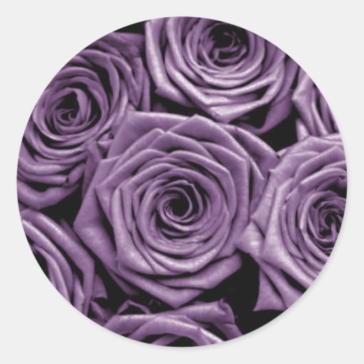 Paarse Rozen Ronde Sticker (Voorkant)