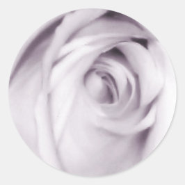 paarse rozen sticker