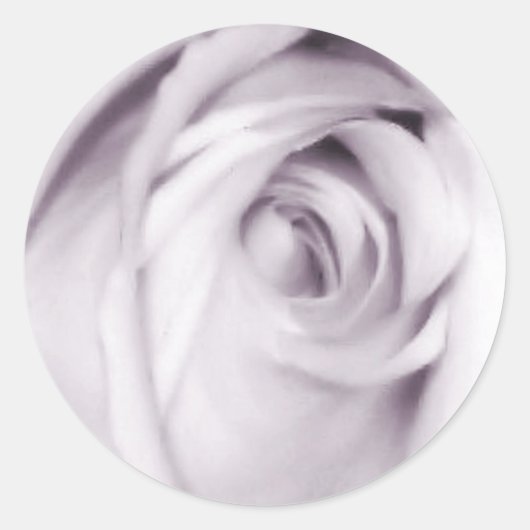 paarse rozen sticker (Voorkant)