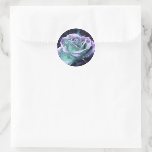 Paarse Rozen Stickers (Tas)