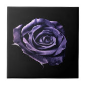 Paarse rozen tegel tegeltje (Voorkant)