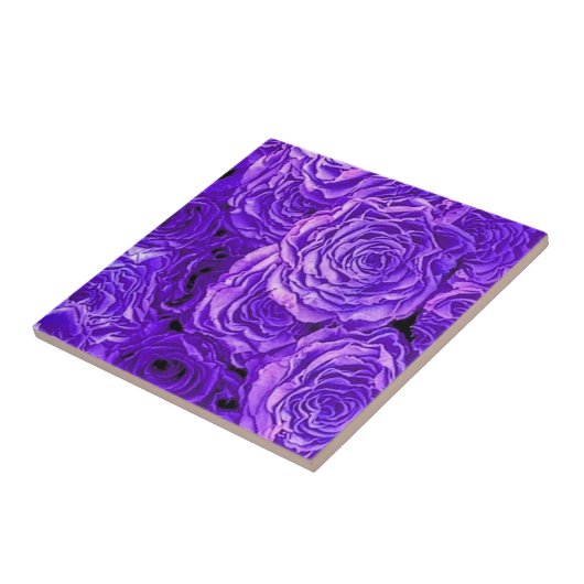 Paarse Rozen Tegeltje (Zijkant)