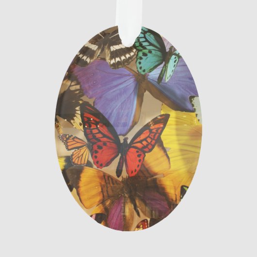 paarse rubberen oranje vlinder met kleurrijke trop ornament (achterkant)