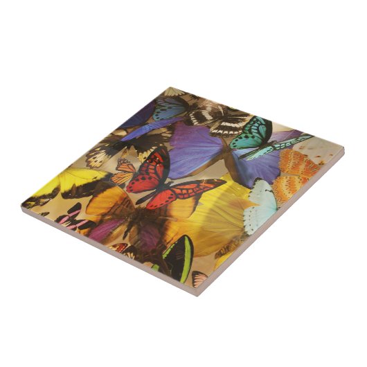 paarse rubberen oranje vlinder met kleurrijke trop tegeltje (Zijkant)