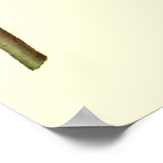 Paarse Rubibeckia Bloem Poster (Hoek)