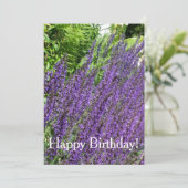Paarse Sage, Paarse Salvia Birthday Card Kaart (Staand voorkant)