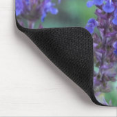 Paarse Salvia Muismat (Hoek)